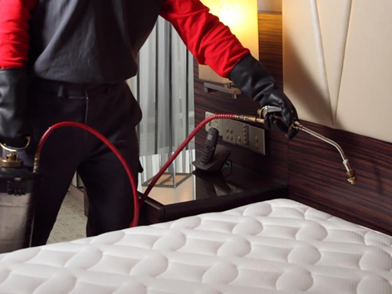 10 raisons pour lesquelles les punaises de lit apparaissent dans votre appartement comment s'en débarrasser rapidement 18