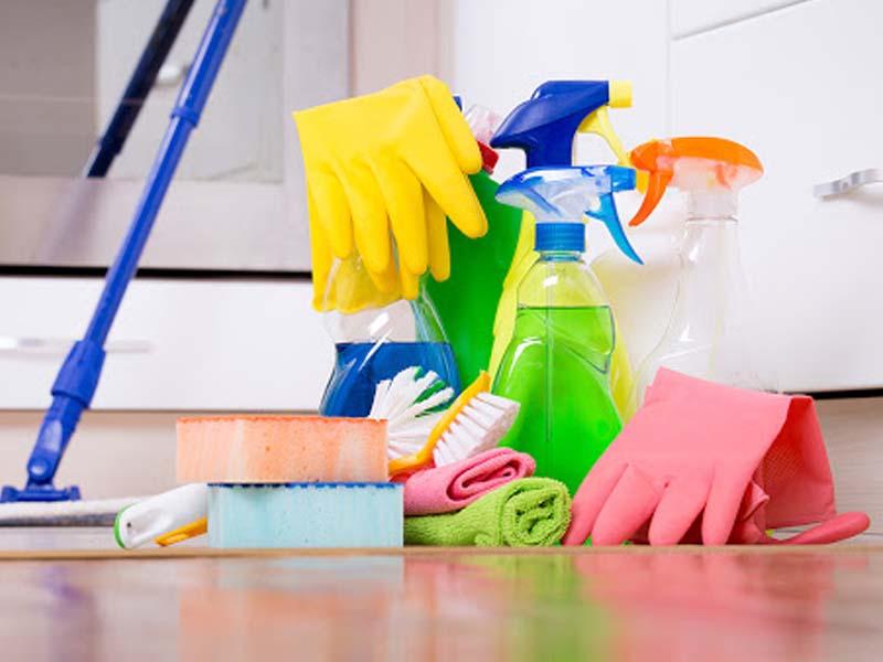 General treatment (cleaning) of the apartment after disinfestation