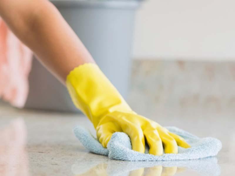 General treatment (cleaning) of the apartment after disinfestation