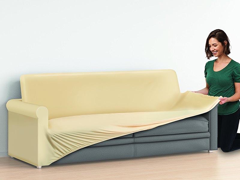 Bettwanzen auf dem Sofa (Sofawanzen): Wie die Bisse aussehen und wie man sie zu Hause loswird