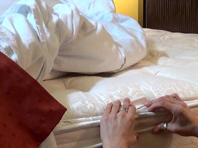 Bettwanzen in der Matratze Matratze Bettwanzen sehen aus wie was zu behandeln, um Ihre Matratze loszuwerden Bettwanzen für immer 09
