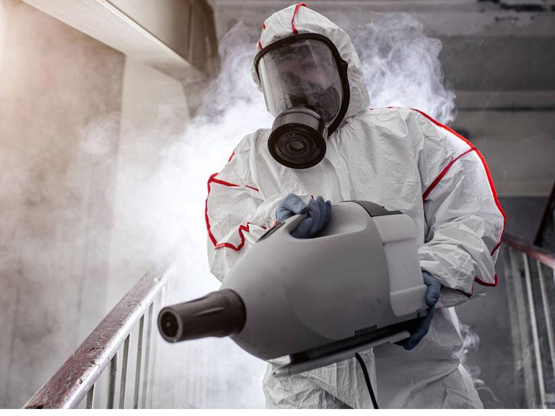 Cold fog treatment of apartments against bed bugs