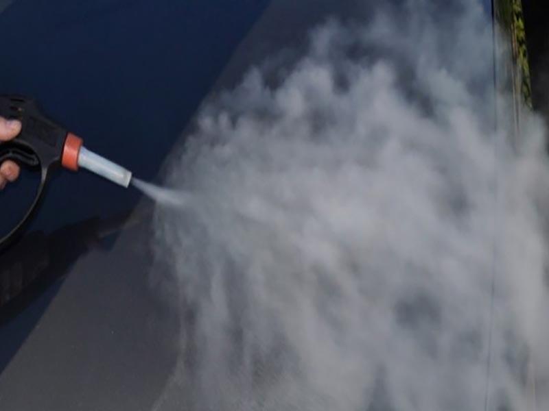 Generatore di vapore o pulitore a vapore per cimici dei letti: cosa scegliere per sterminare i parassiti. Recensioni dei clienti 04