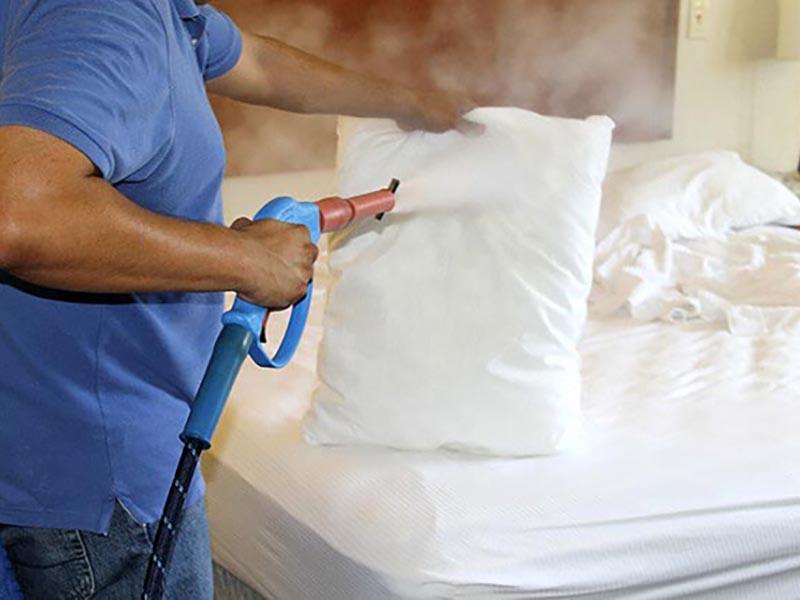 Steam generator or steam cleaner from bed bugs - what to choose to kill parasites. Customer reviews 13