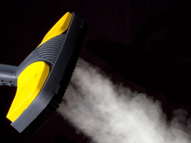 Generatore di vapore o pulitore a vapore per cimici dei letti: quale scegliere per sterminare i parassiti. Recensioni dei clienti 14