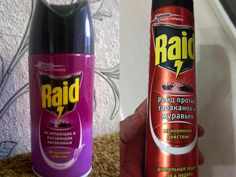 Reid from bed bugs: aerosols, sprays, gels, traps, where to buy, customer reviews