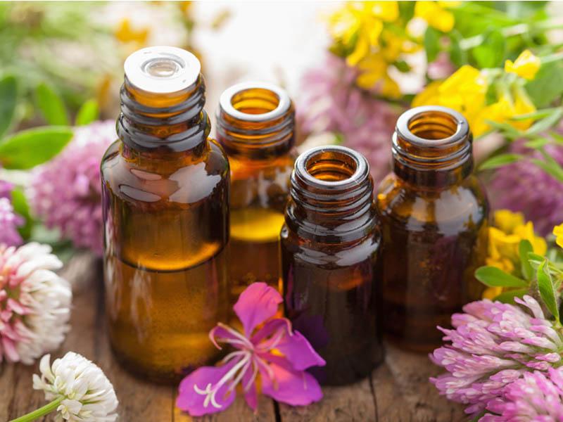 The most effective essential oils against bed bugs