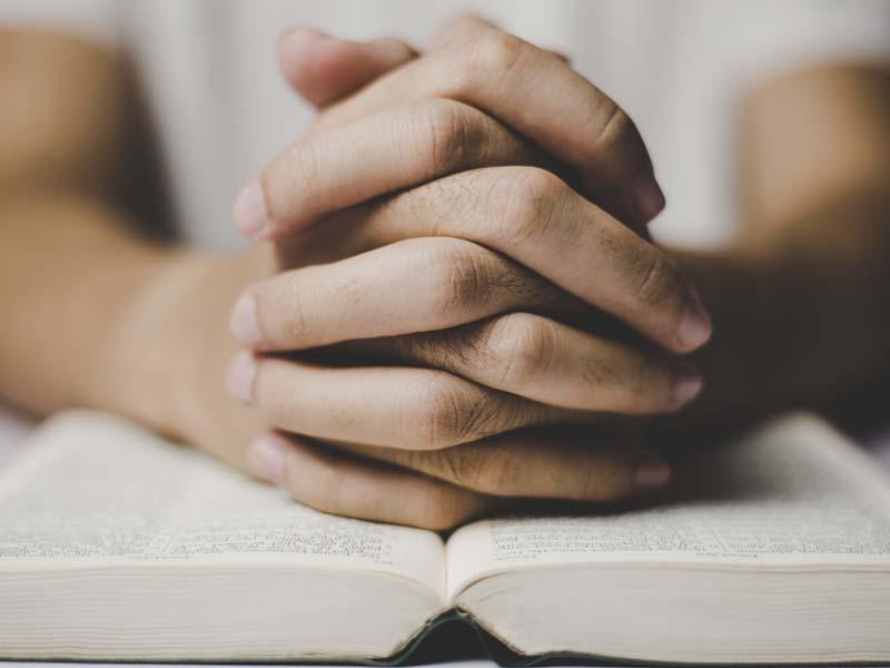 Modlitwy za pluskwy: kiedy czytać, o której godzinie i do jakiego świętego