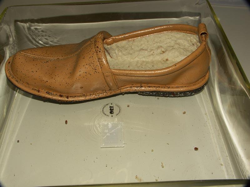 Pantofole infestate dalle cimici dei letti