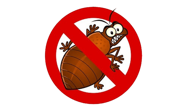 Bed bugs, their bites, combating bed bugs, extermination to